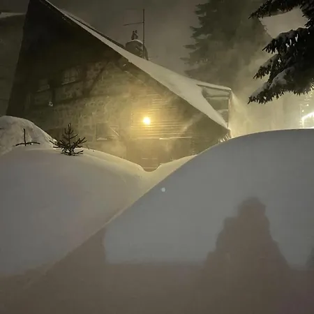 Lejlighed Pahulja - K1